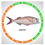 Jobfish