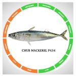 Chub mackerel
