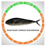 Mahi mahi common dolphinfish