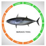 Skipjack tuna