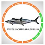 Spanish mackerel king fish